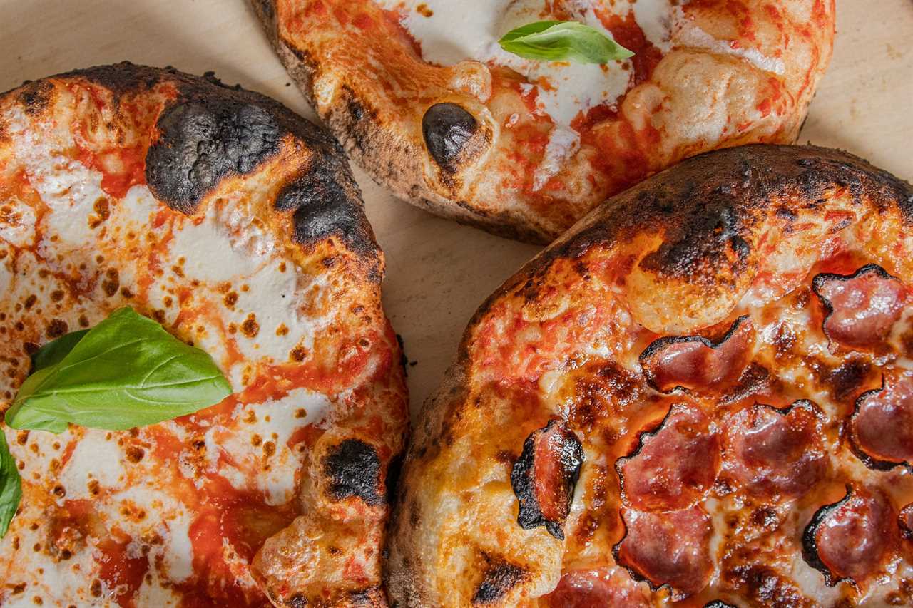 best pizza ovens for home use