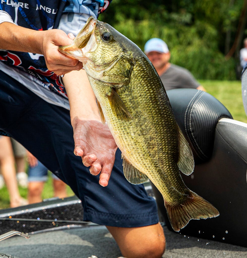 Angler holds up largemouth bass