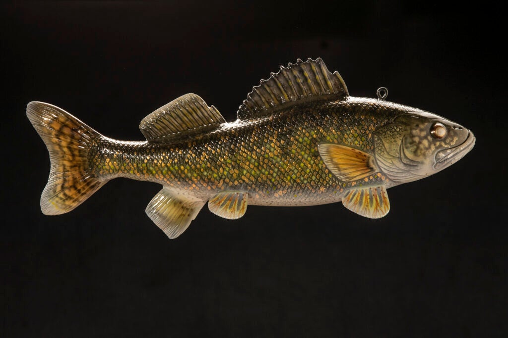 walleye decoy