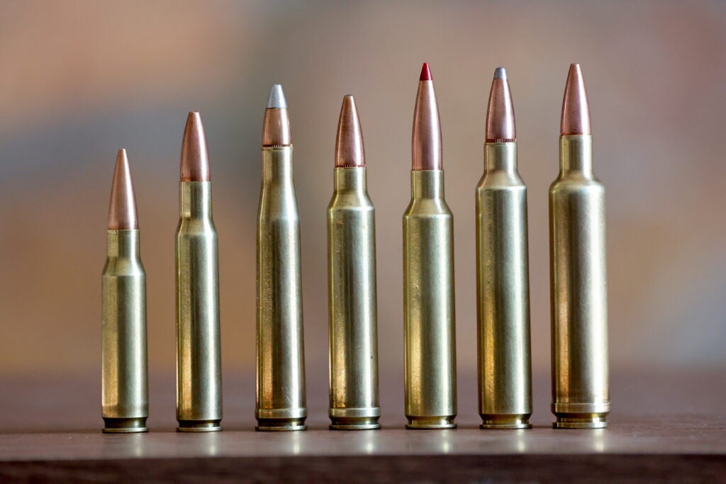 The best .30-caliber rifle loads.