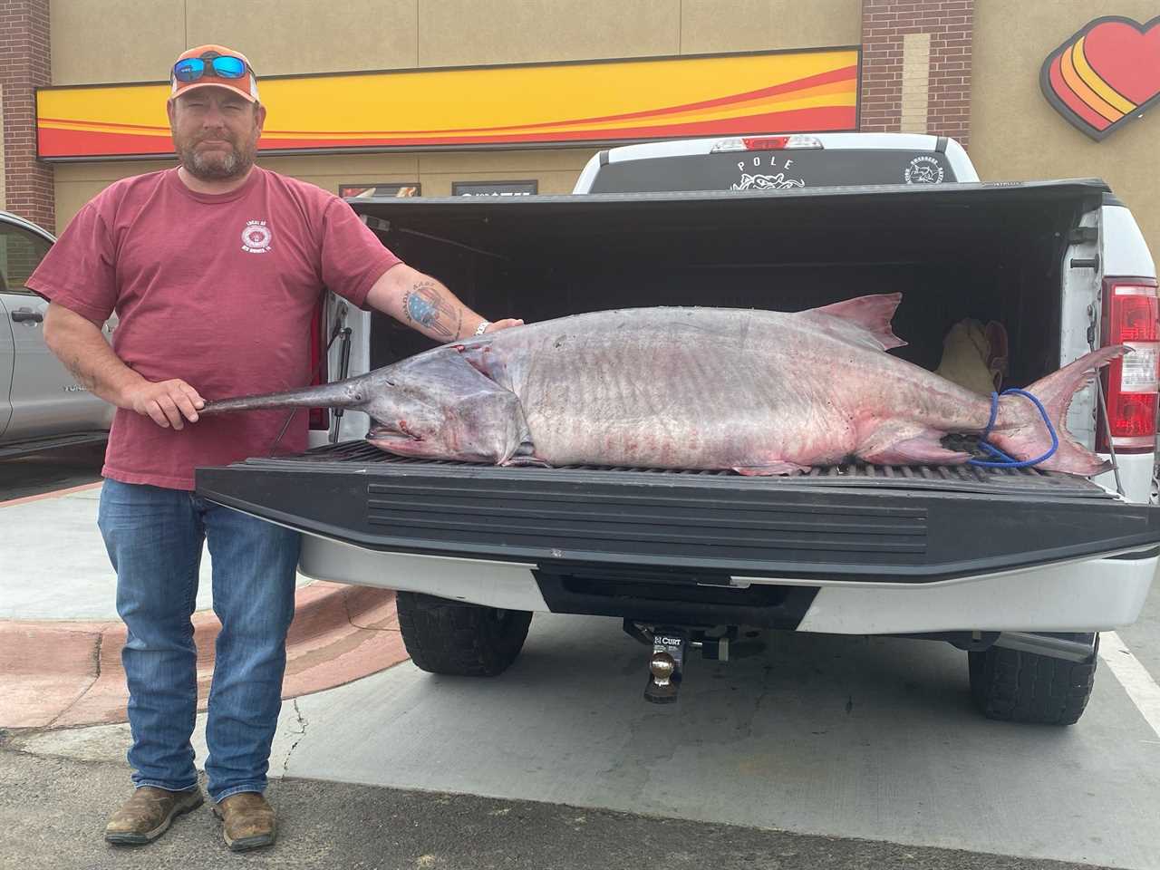 The new Tennessee state-record paddlefish.