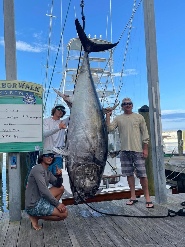 no name bluefin 2