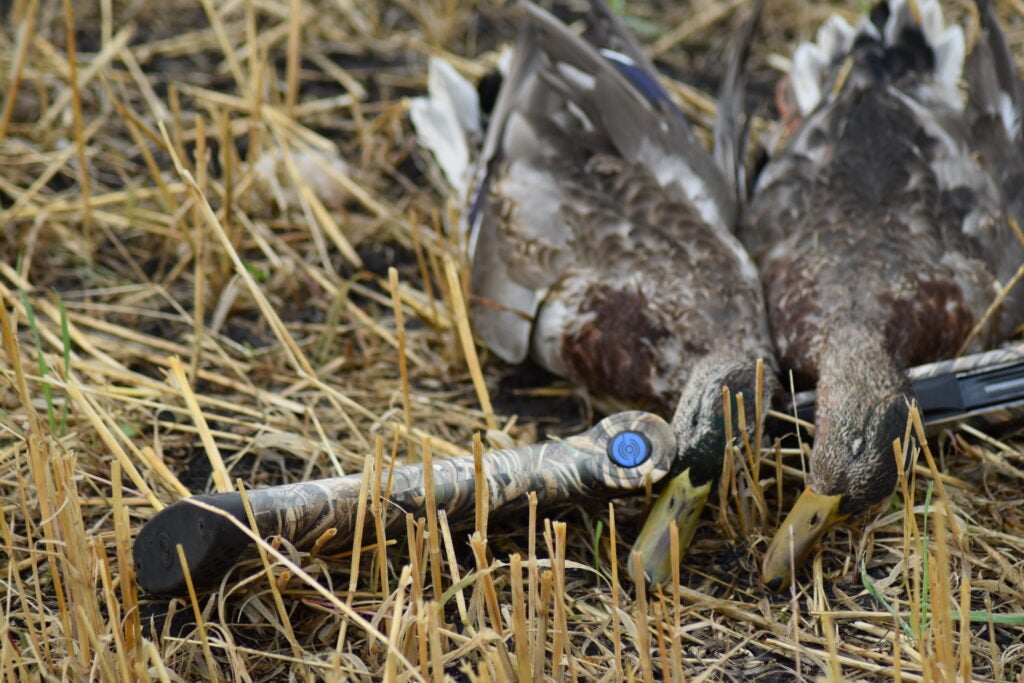 The author has shot Stoegers in Canada and the U.S.