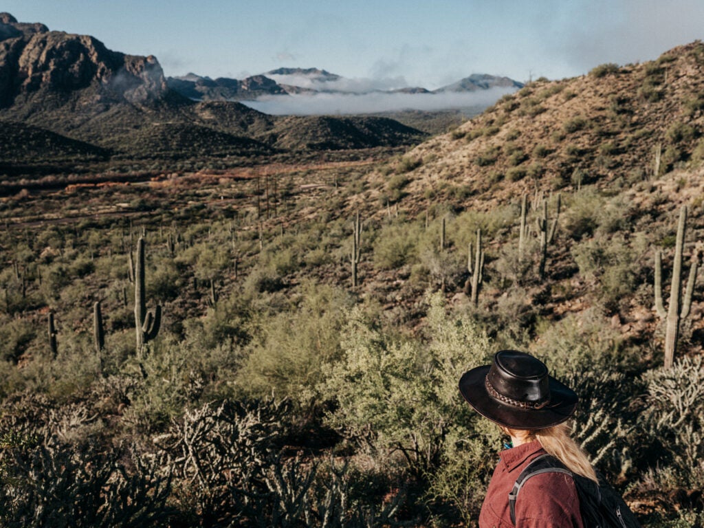 Krebs looks out at Arizona landscape