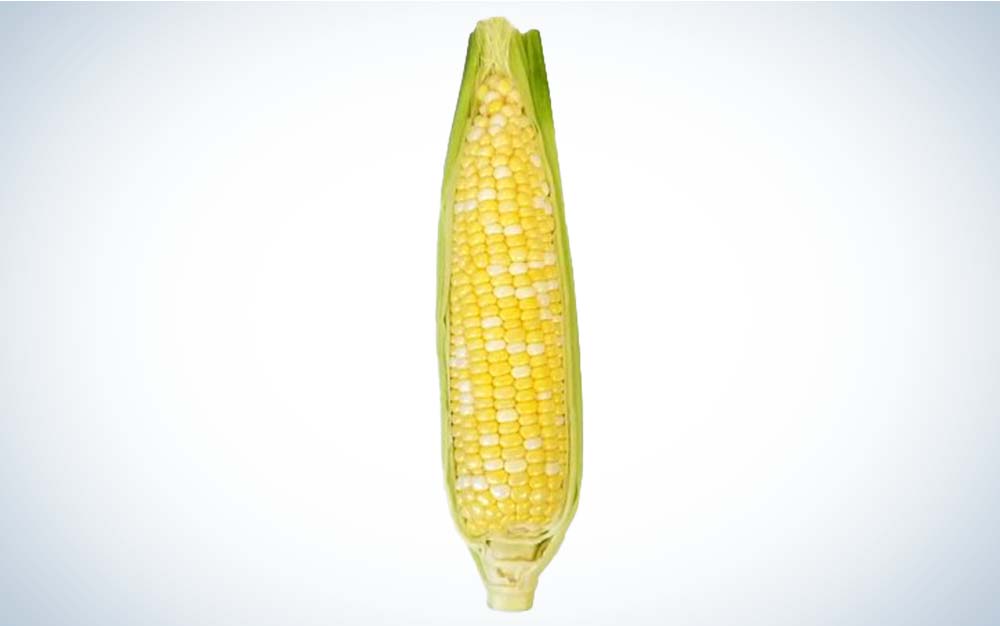 Corn on the Cob