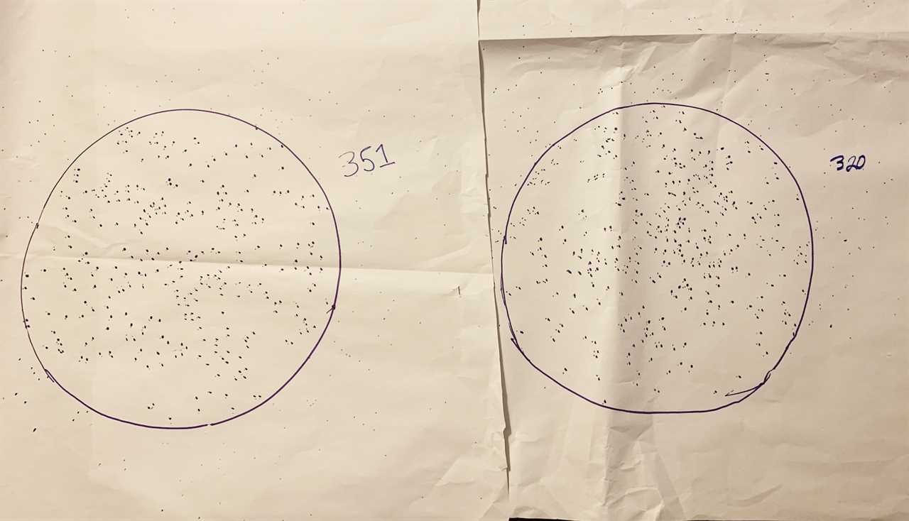 Boss performed best with the .675. Federal was better with the .650.