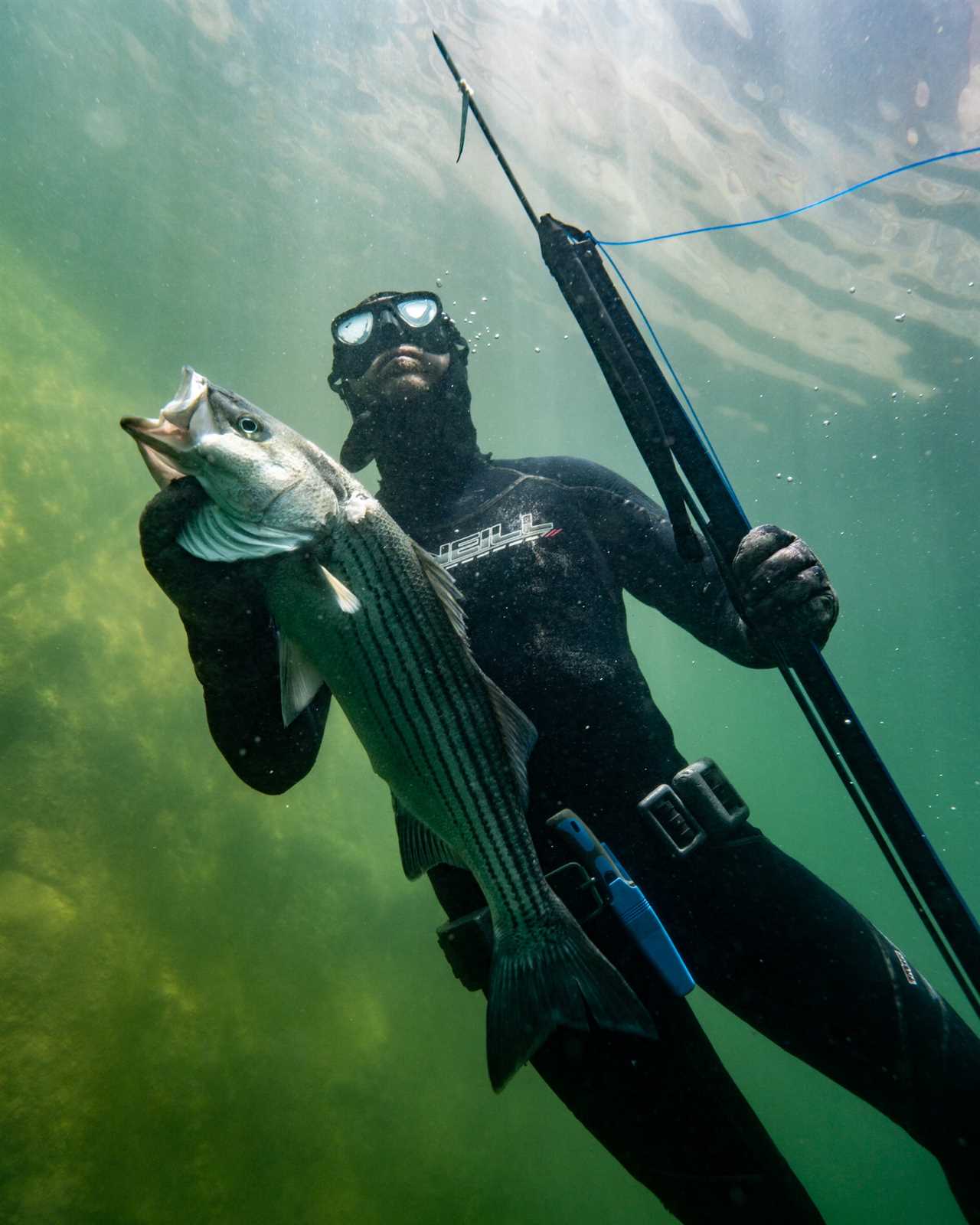 Spearfishing Lake Powell.