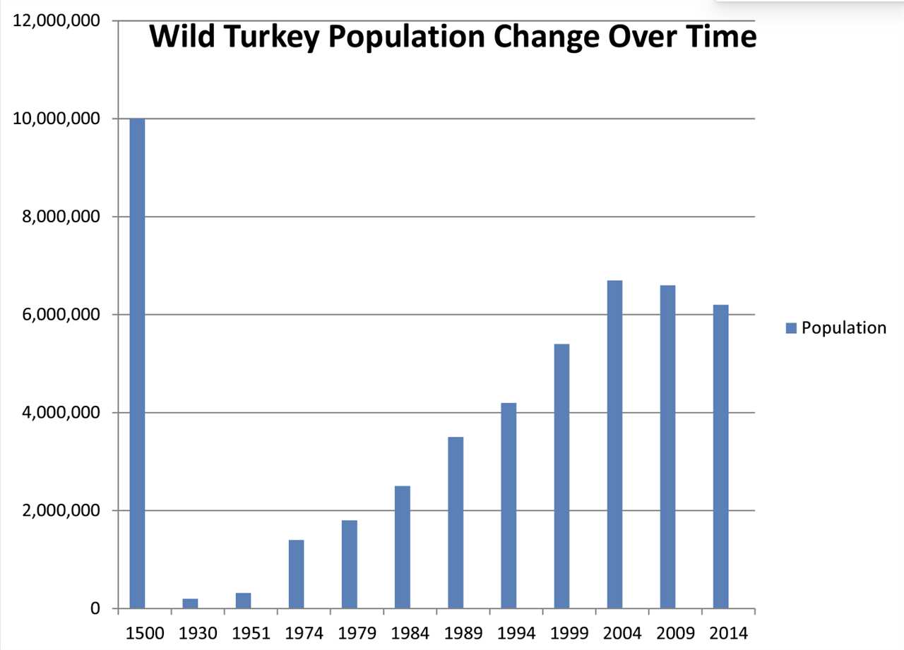 A chart of wild turkey populations in the U