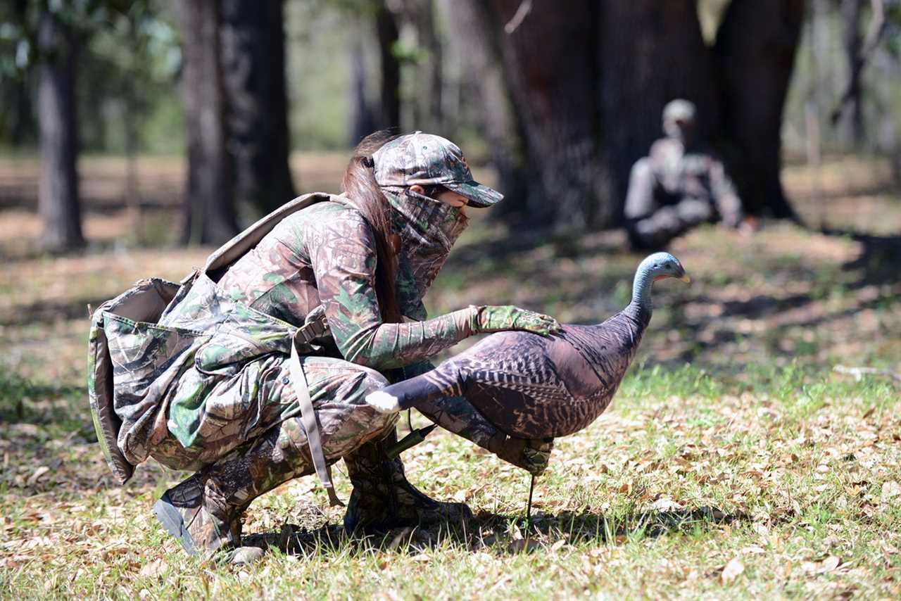 Staking a turkey decoy in a field.