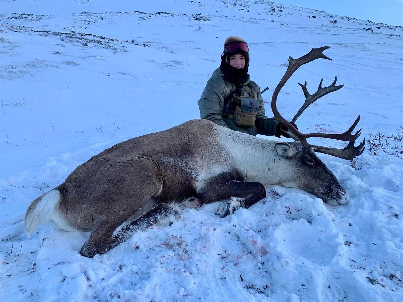 Bull Caribou taken with 6.5 Creedmoor