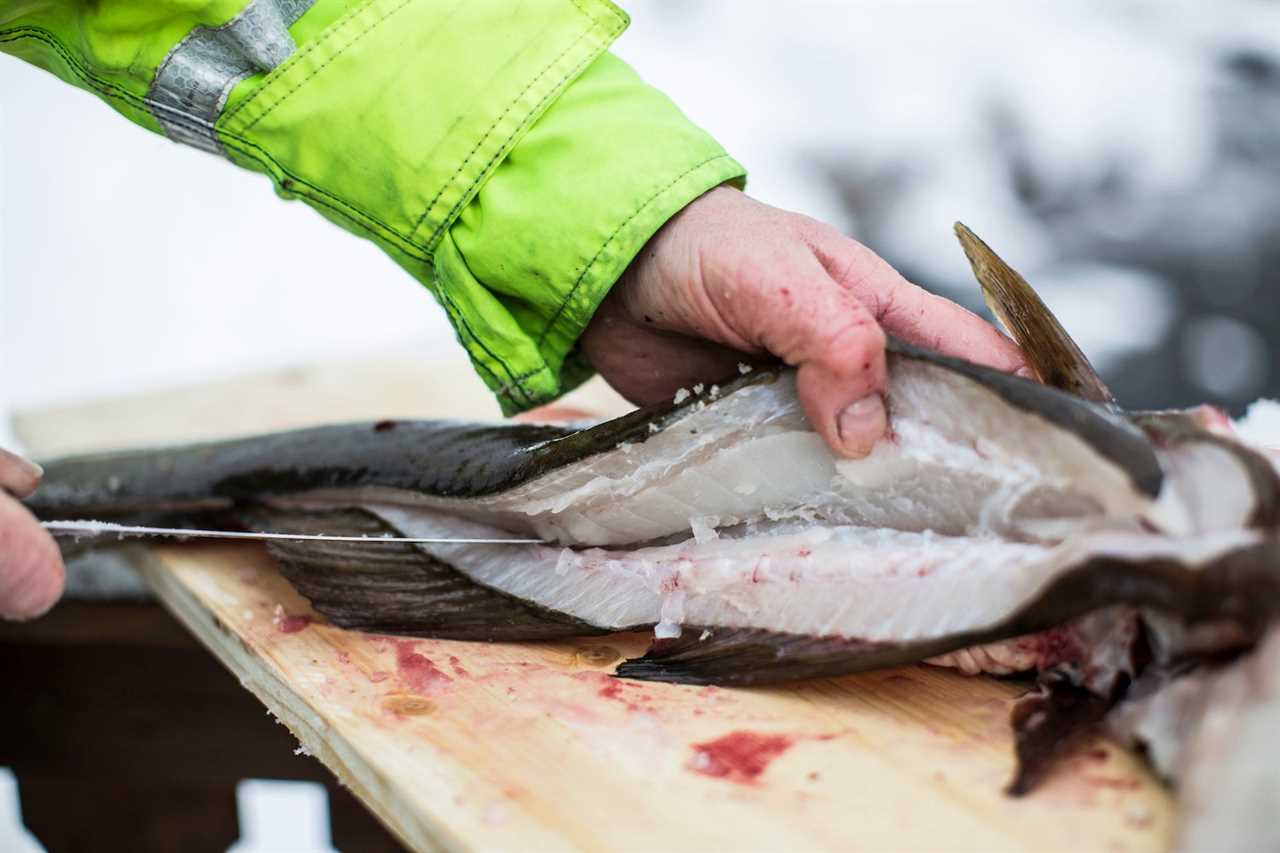 Atlantic cod in certain areas of the North American Atlantic Coast have been overfished.