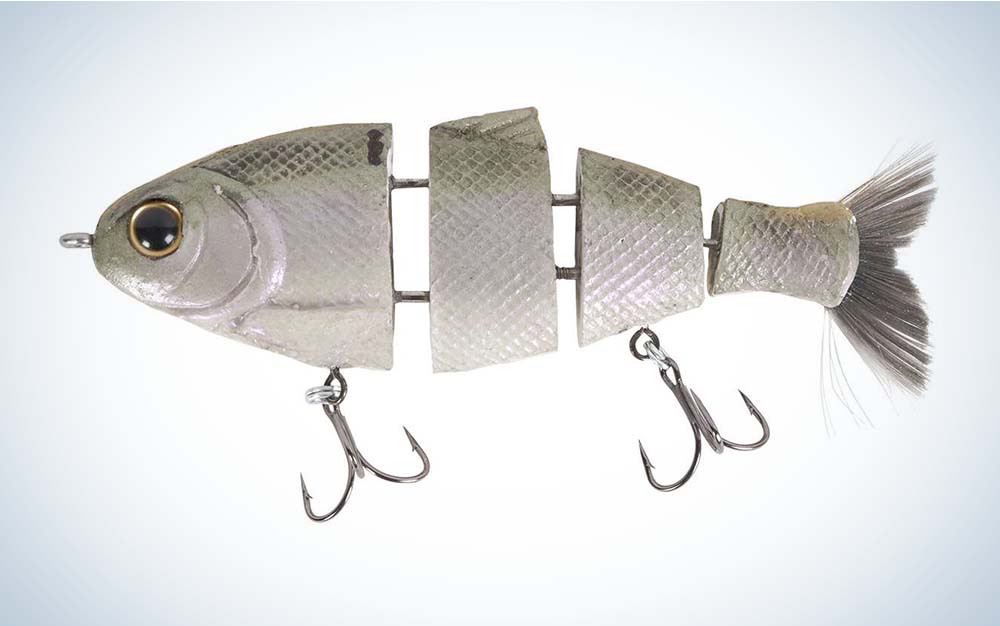 This slow-sinking swimbait works on a variety of bass.