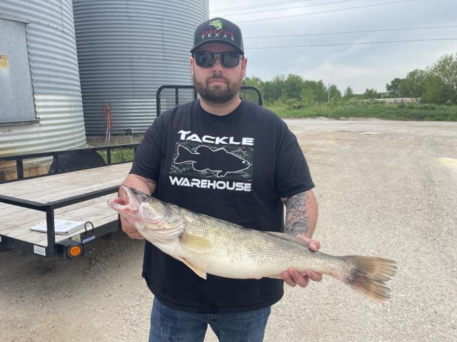 missouri state-record walleye tim stillings