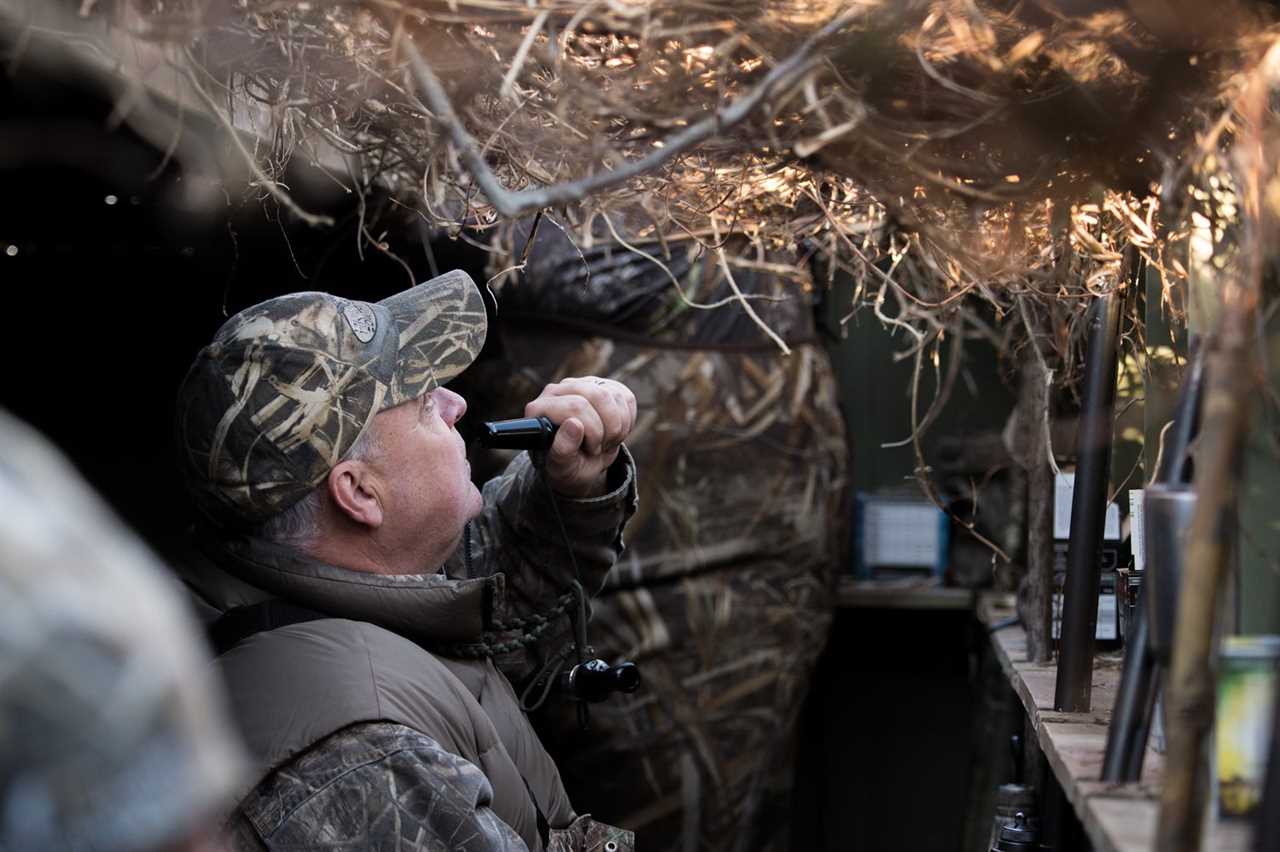 Hunting field geese.