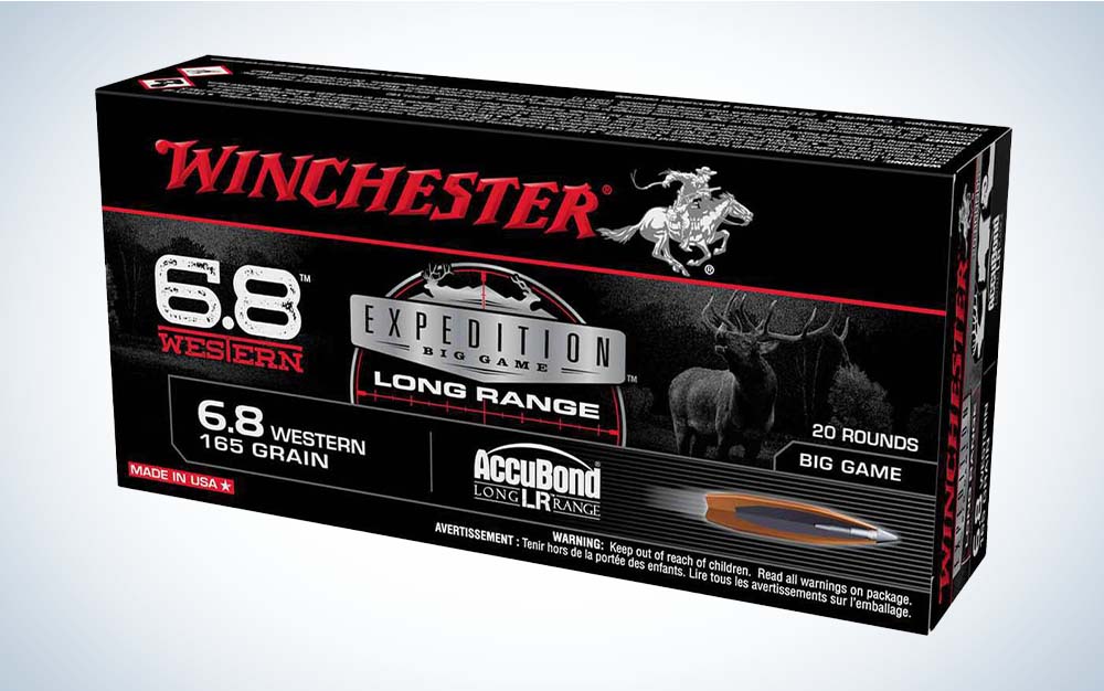 winchester ammo