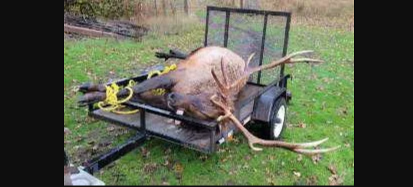 Oregon elk poachers.