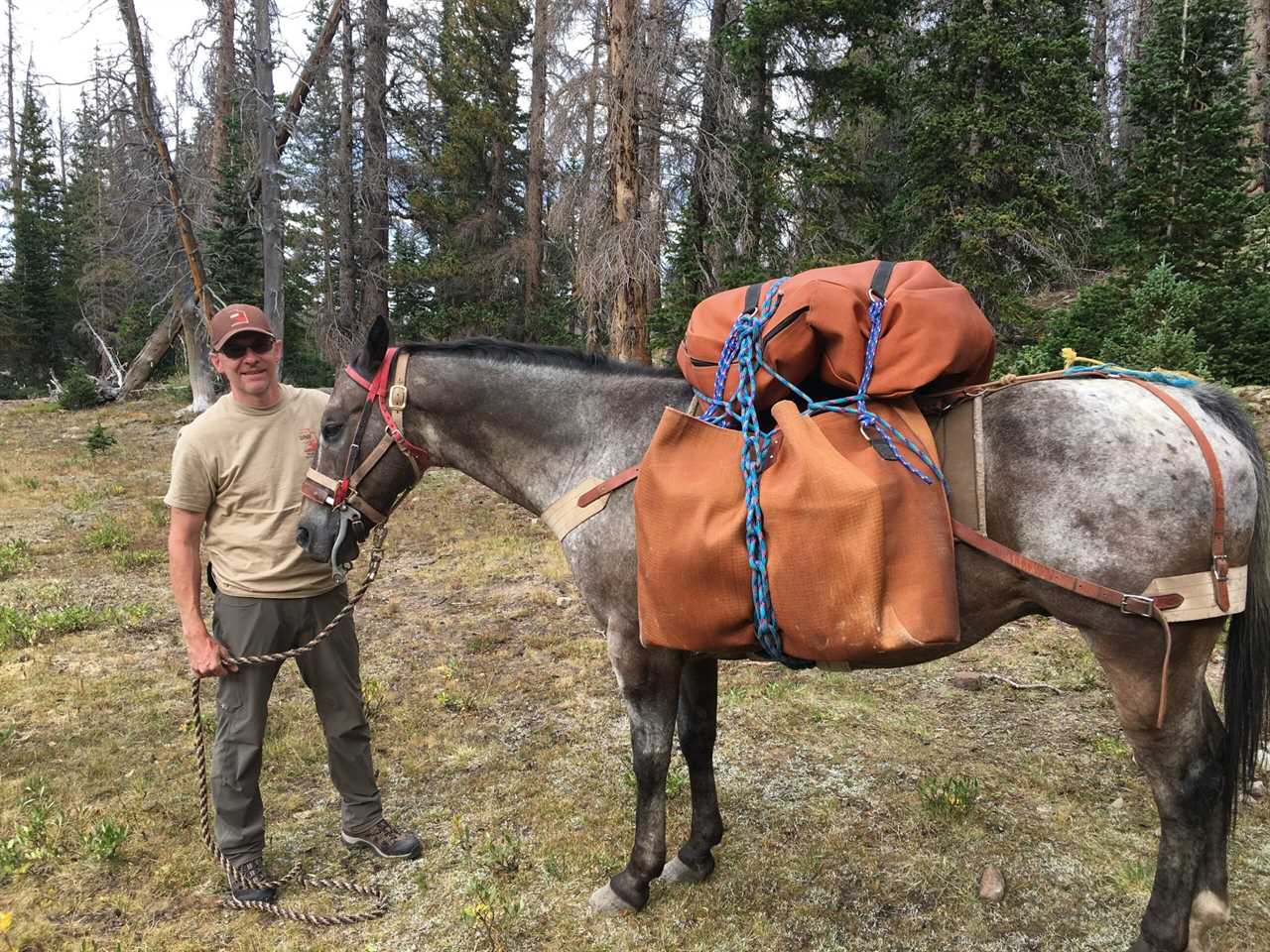 UT pack horse stocking