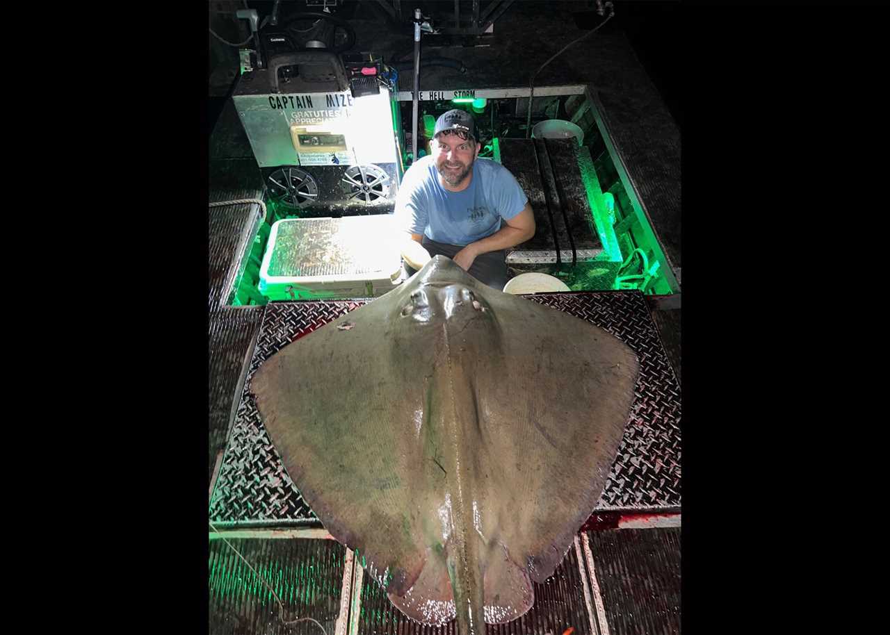 pending world-record southern stingray