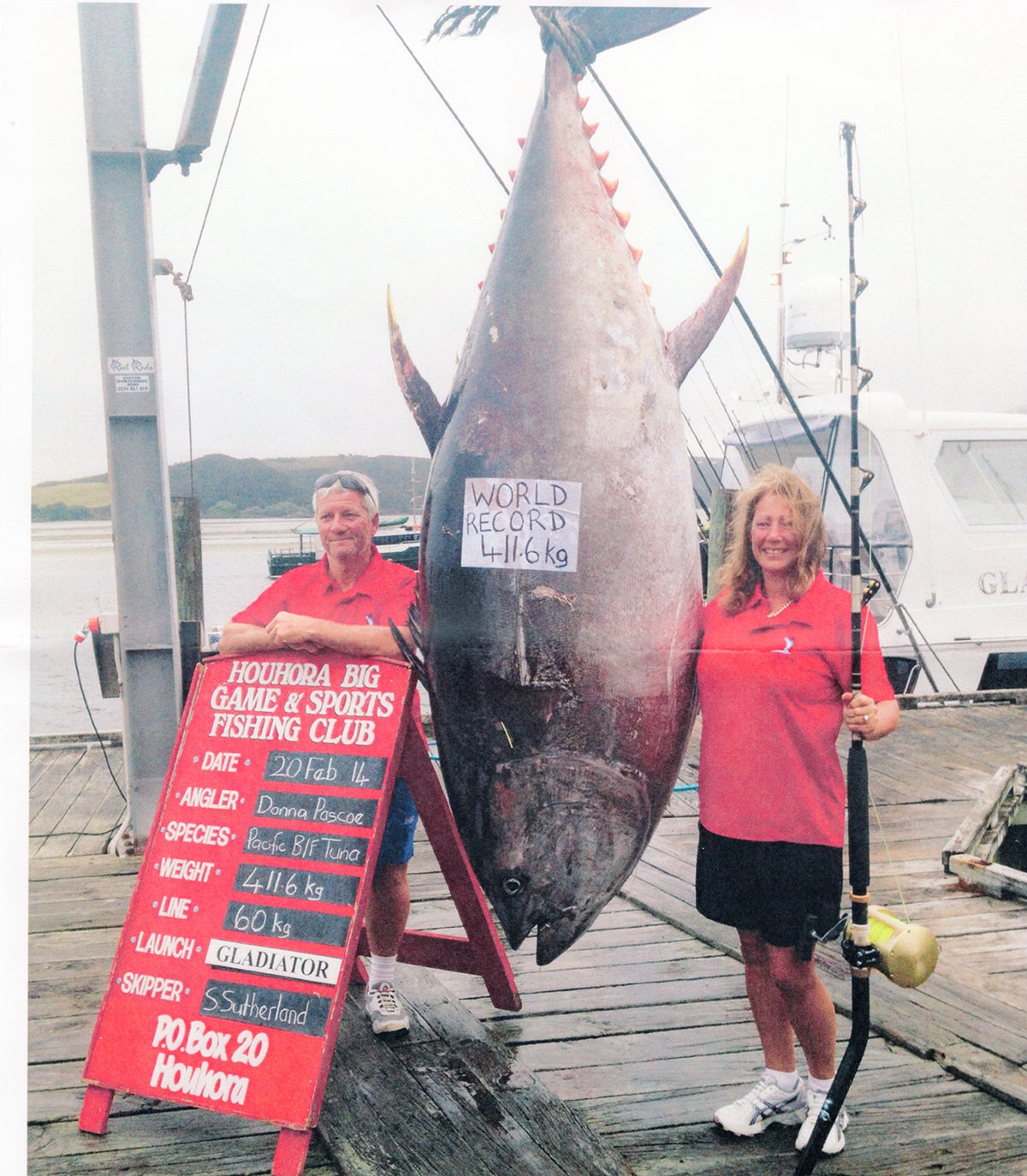 World record bluefin tuna. 