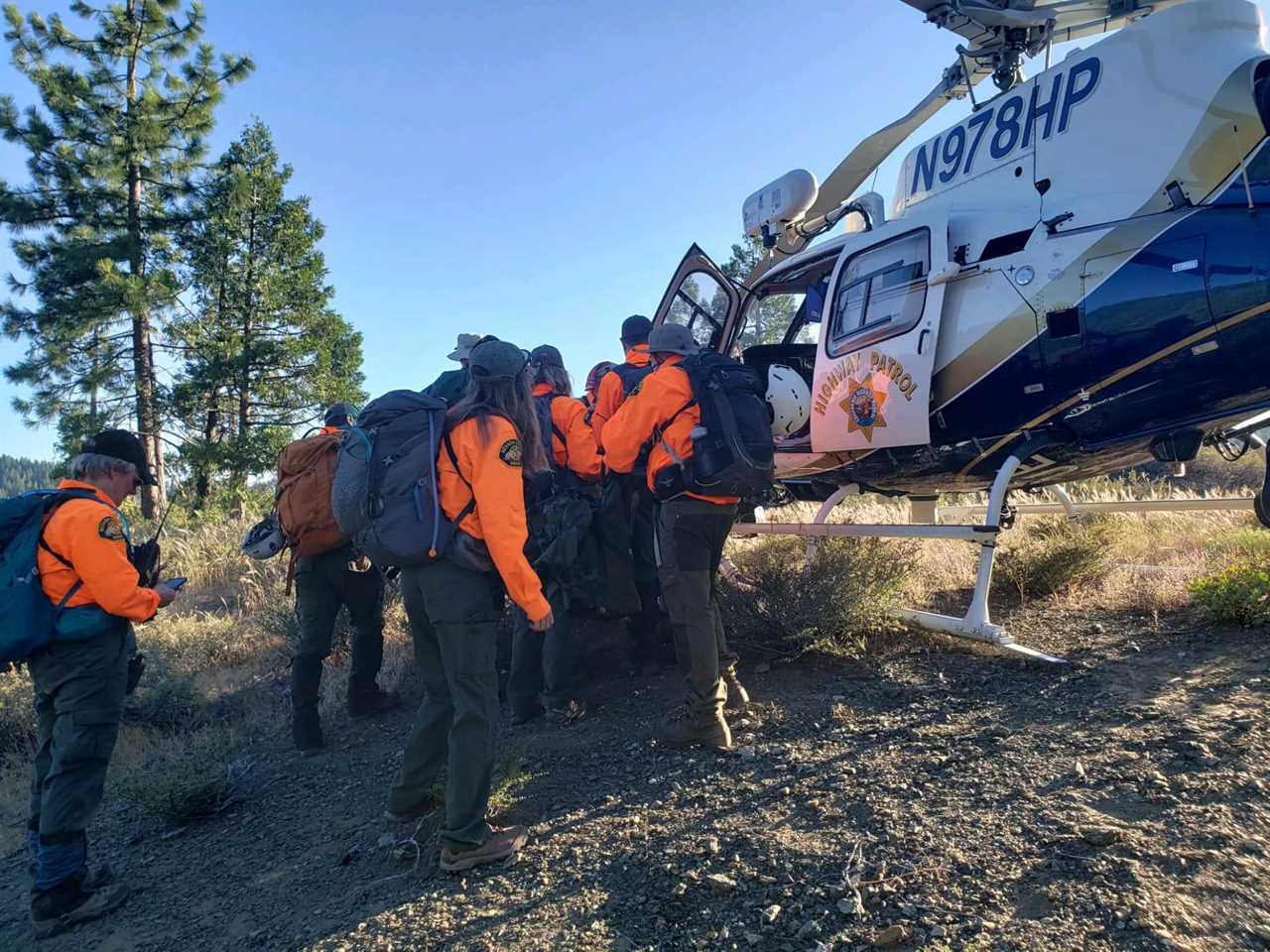 dog rescues owner tahoe natl forest