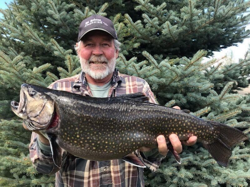 daniels CO record brookie