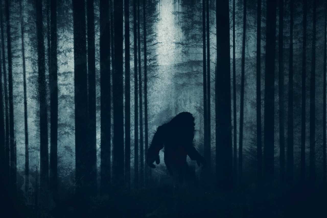 bigfoot