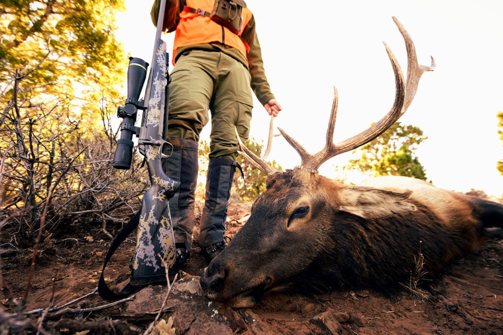 elk hunting rifle