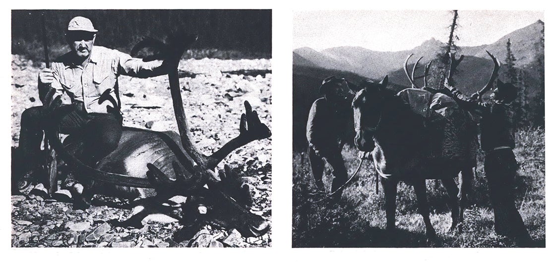 old photos of caribou hunters