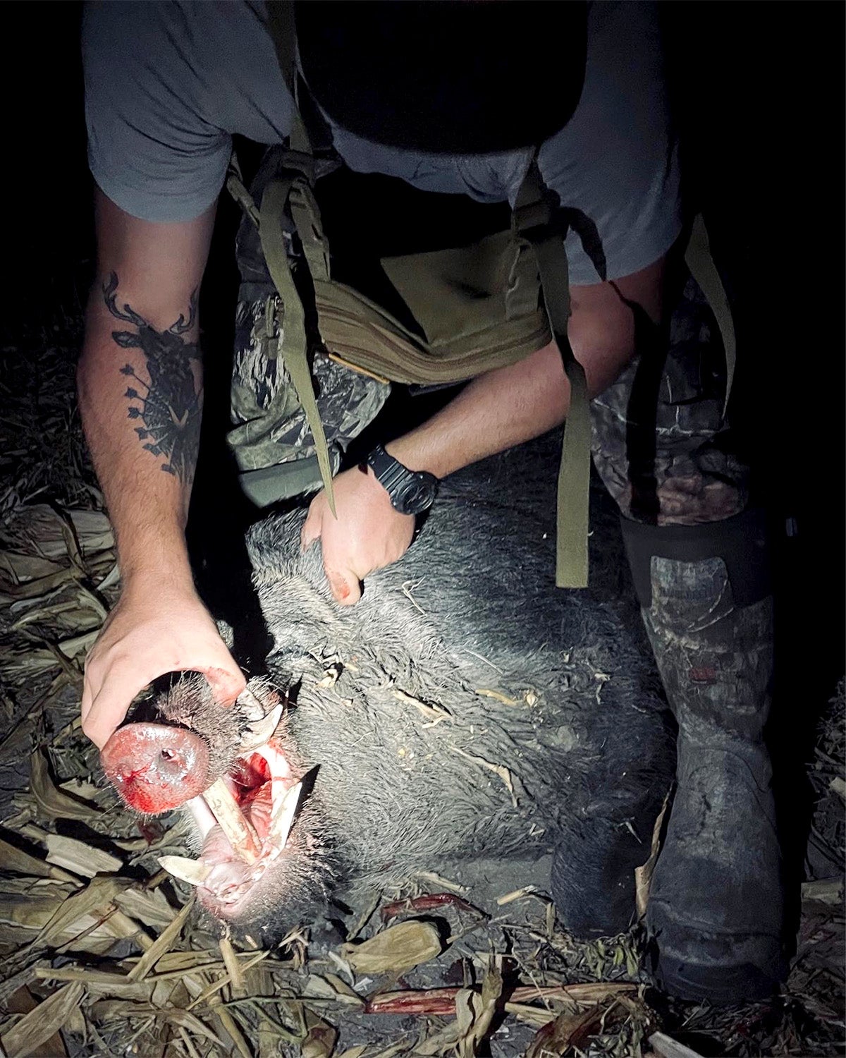 dakota landers 350-pound hog