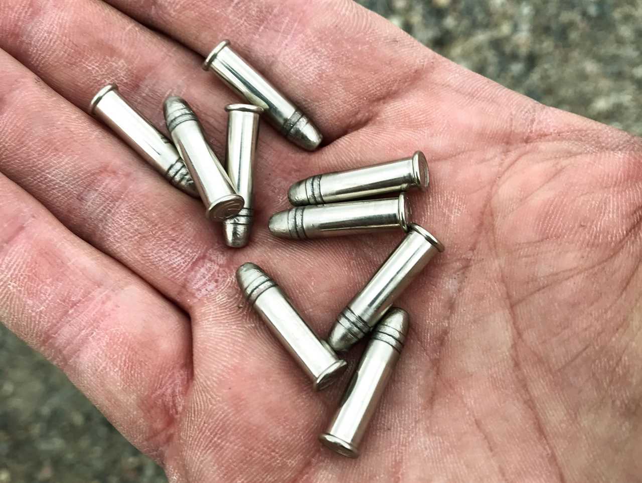 22 LR For Self-Defense