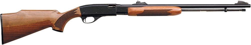 Remington 572 Fieldmaster