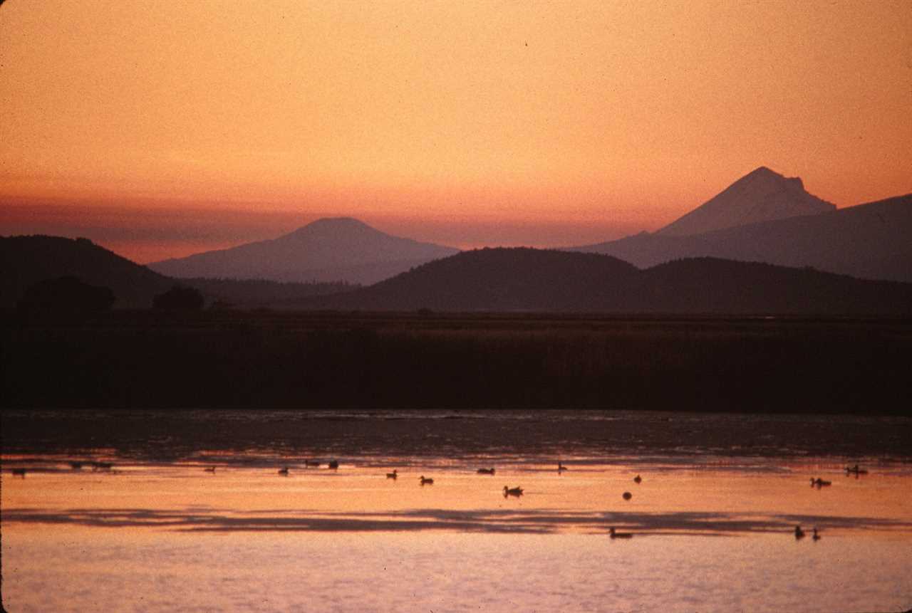 A Pacific Waterfowl Oasis Ran Out of Water. These Duck Hunters Are Footing the Bill for Some More