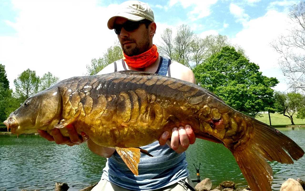 Man holding a 34-inch carp.