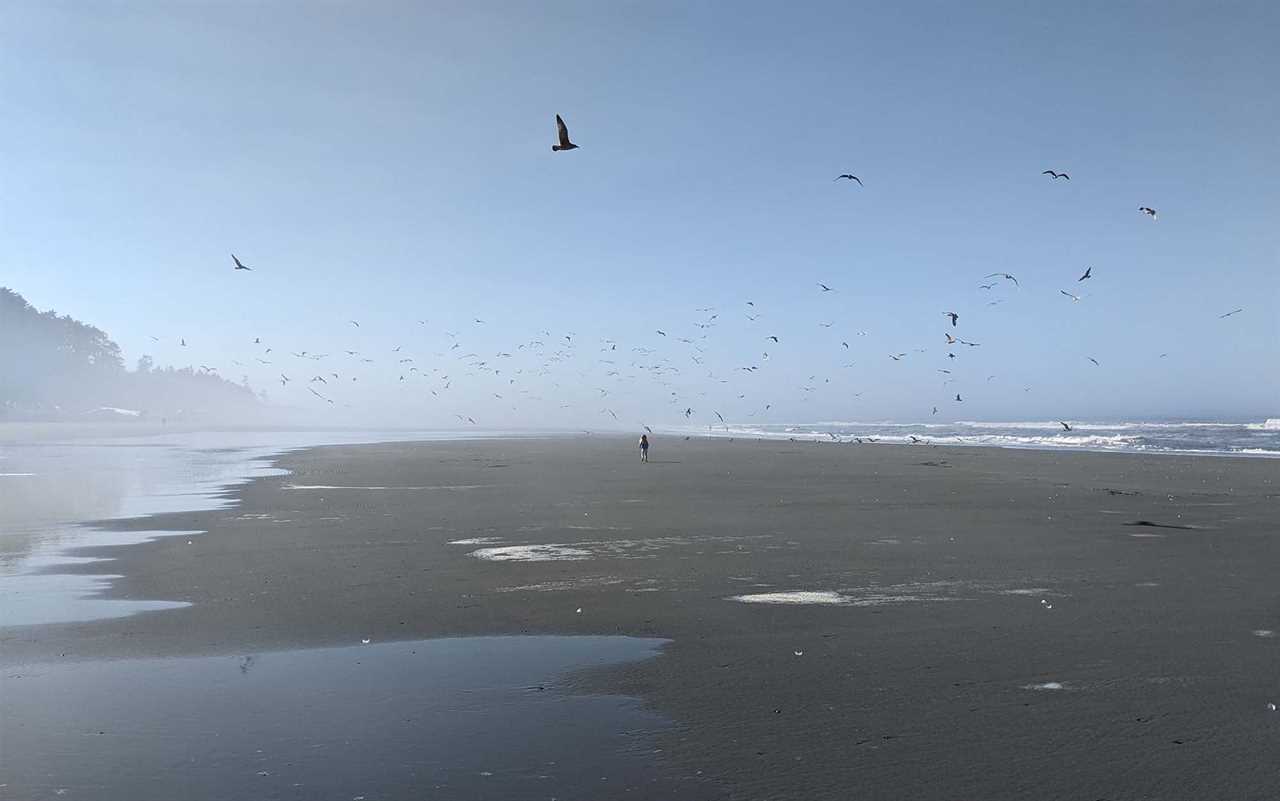 The beach at Kalaloch—no surprise that this is a popular summer camping spot.