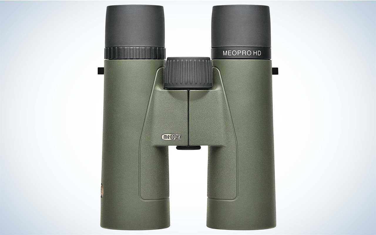 The Meopta MeoPro HD Plus 10x42 are the best entry level binoculars.