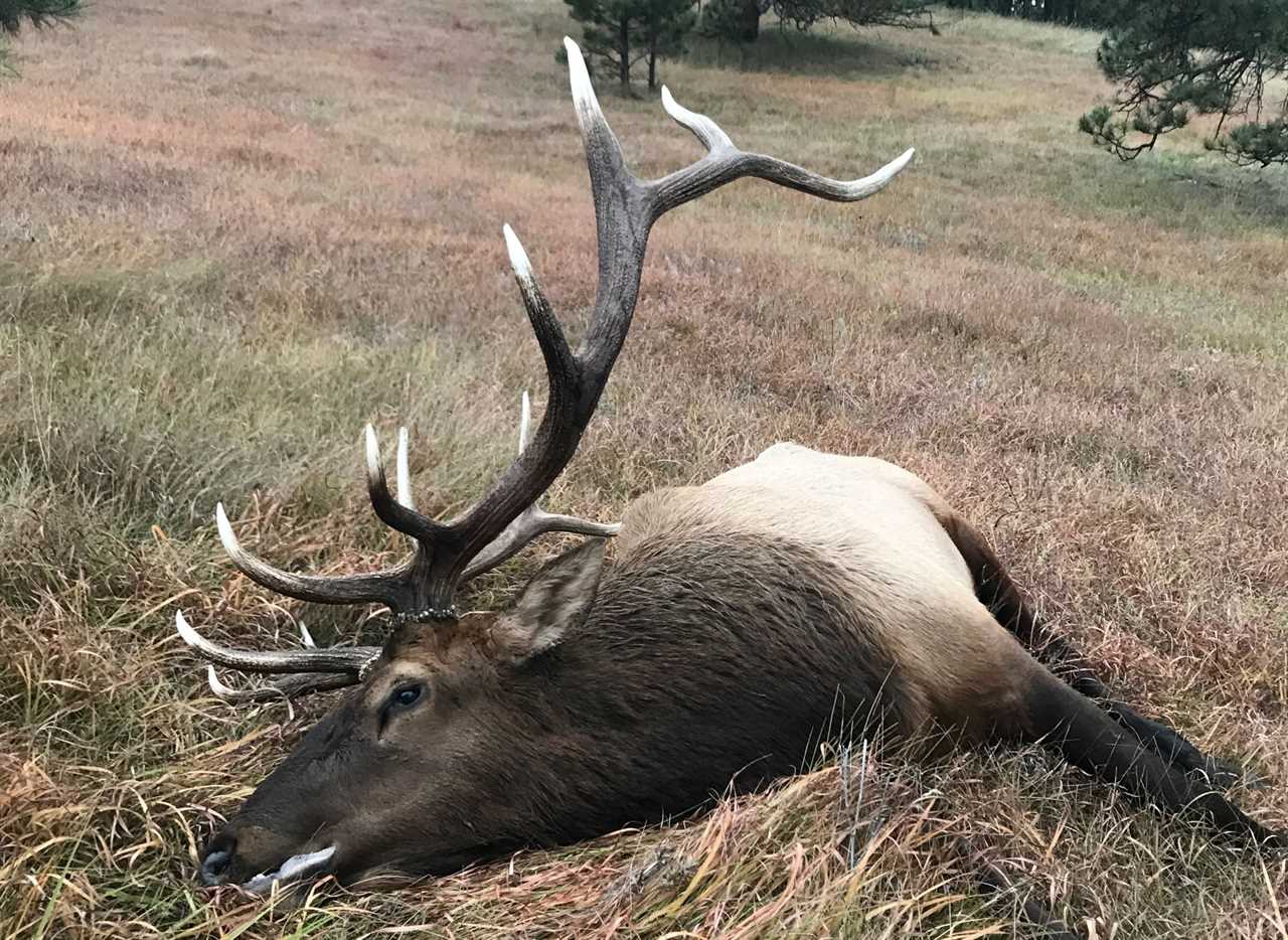 elkhunt