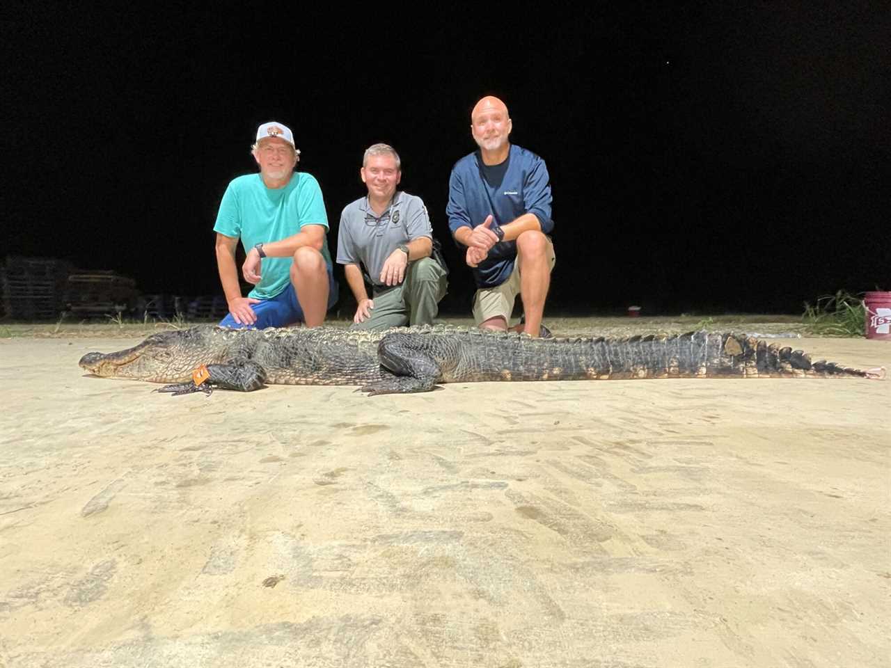 Two alligator hunters break the Mississippi state record for longest female.