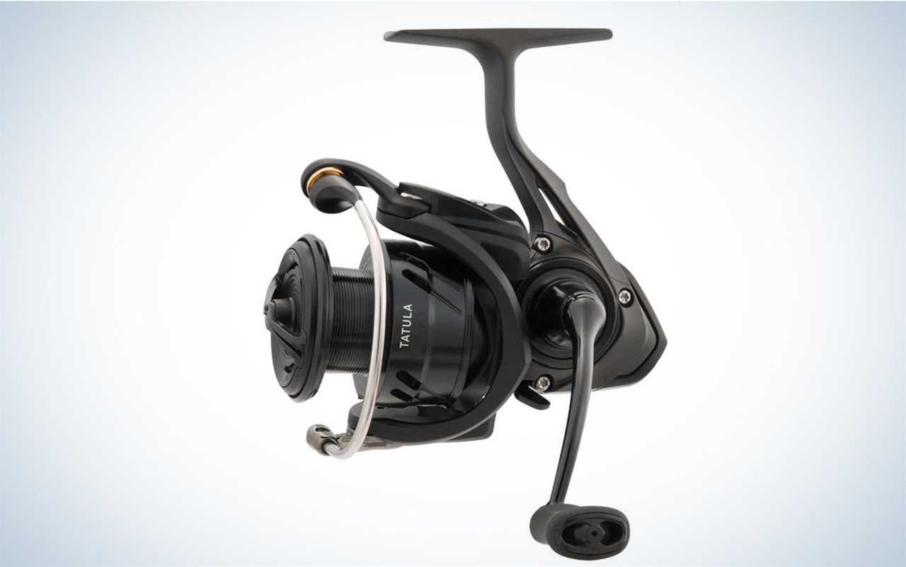 The Daiwa Tatula LT 1000D-XH is the best overall.