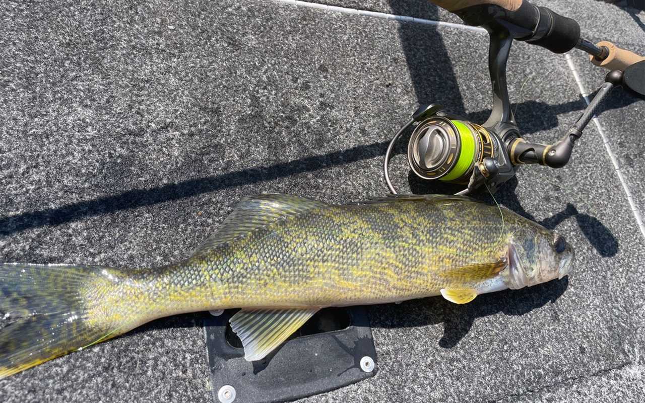  The Pflueger Supreme XT handled large fish on the Mississippi River thanks to its superior ergonomics.