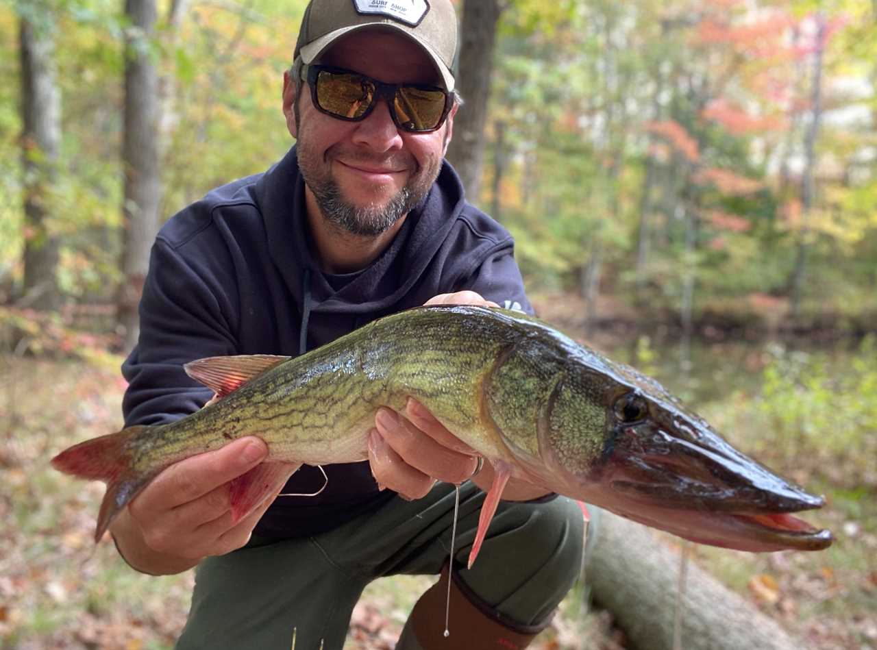 chain pickerel