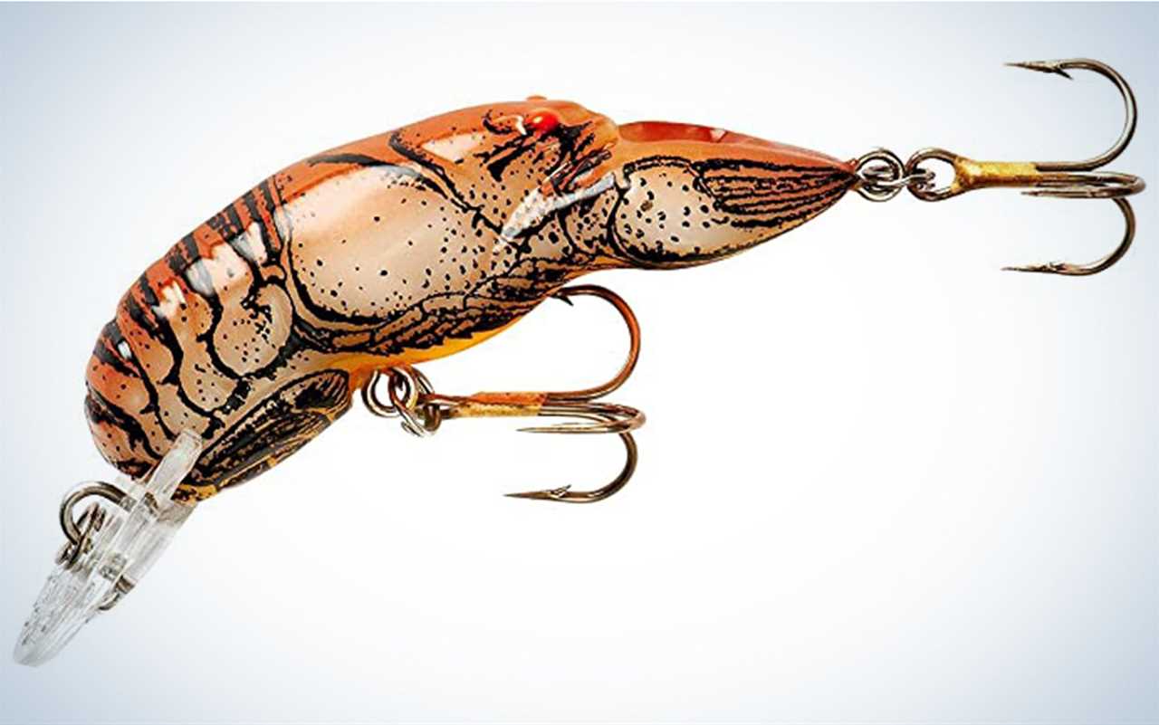 The Rebel Crawfish is one of the best trout fishing baits.