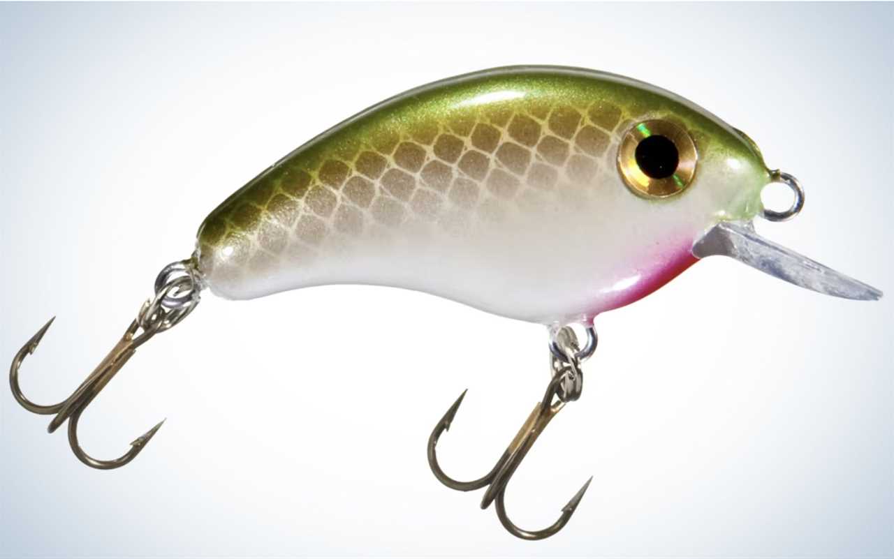 The Strike King Bitsy Minnow is one of the best trout fishing baits.