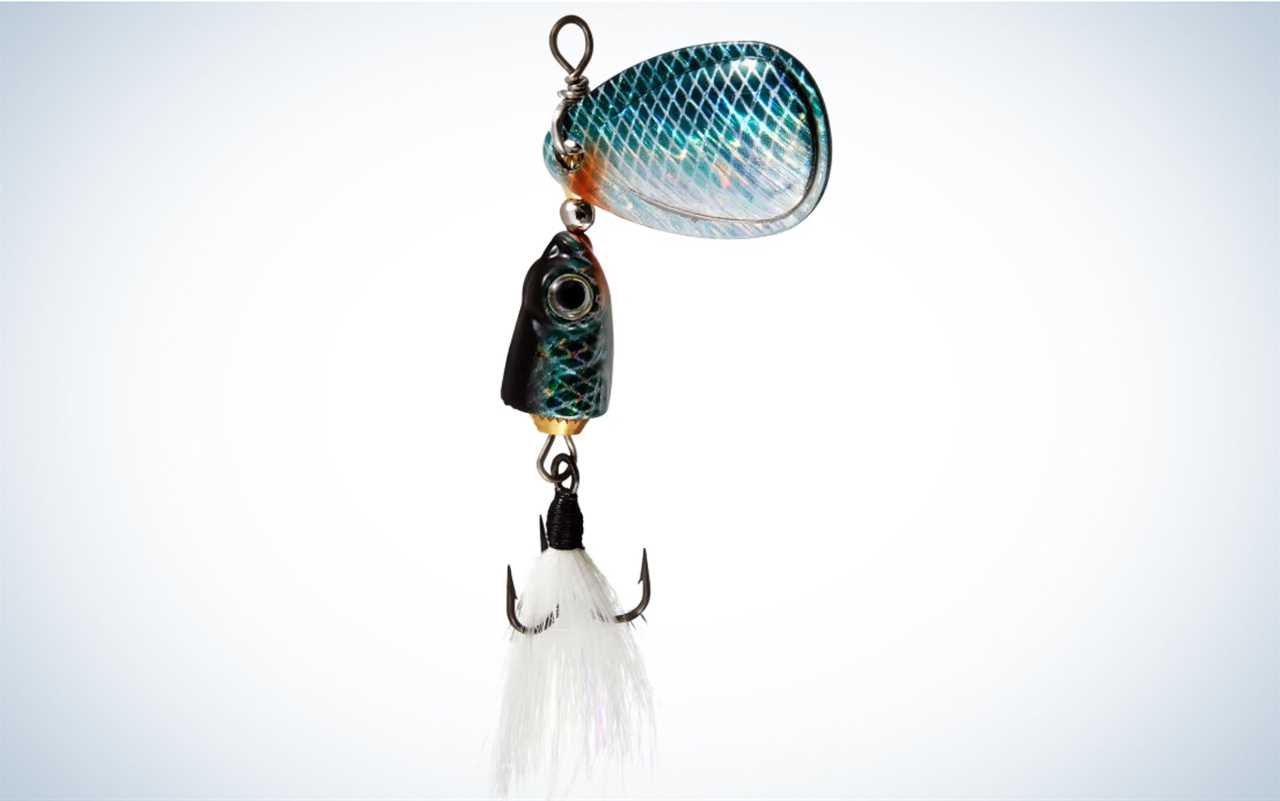 The Blue Fox Vibrax is one of the best trout fishing baits.