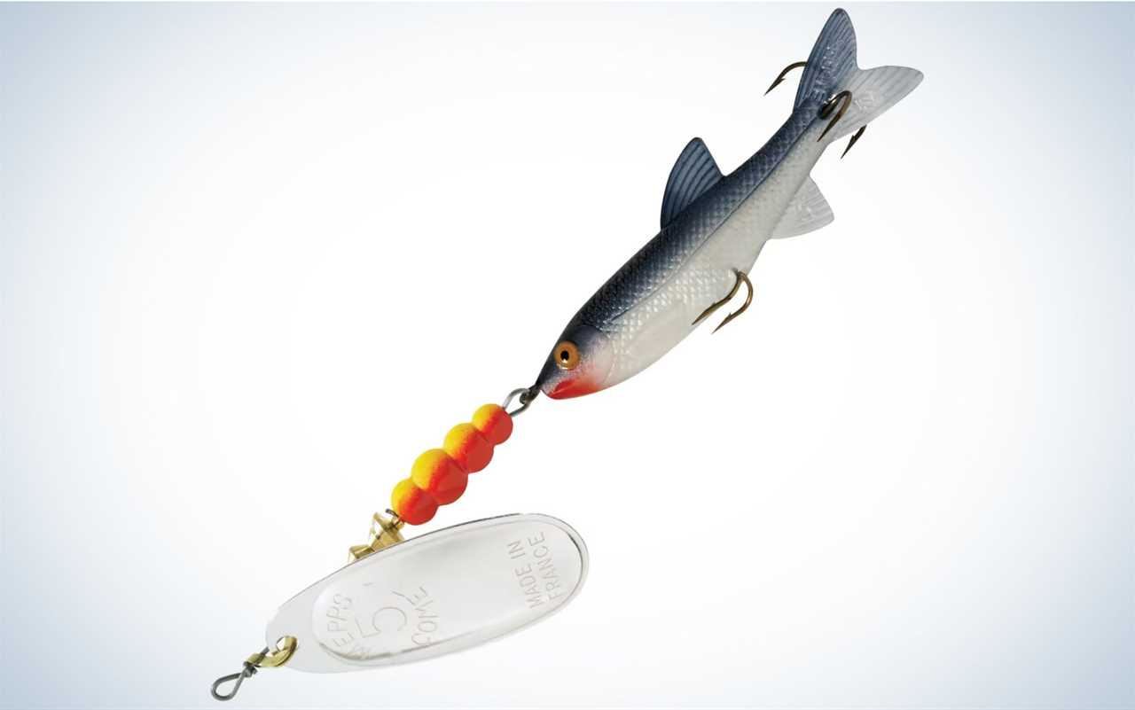 The Mepps Comet Mino (Size #1) is one of the best trout fishing baits.