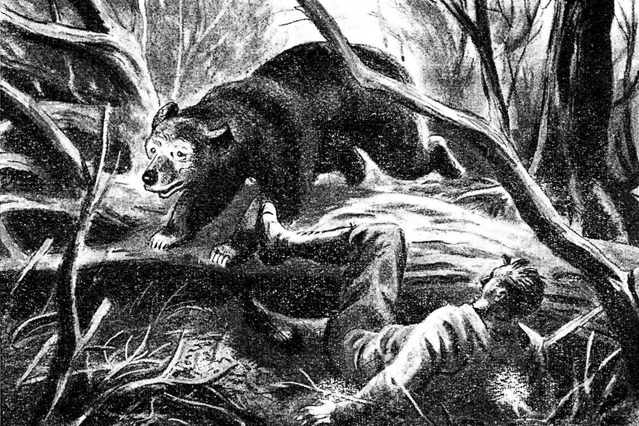 old illustration of bear and fallen man