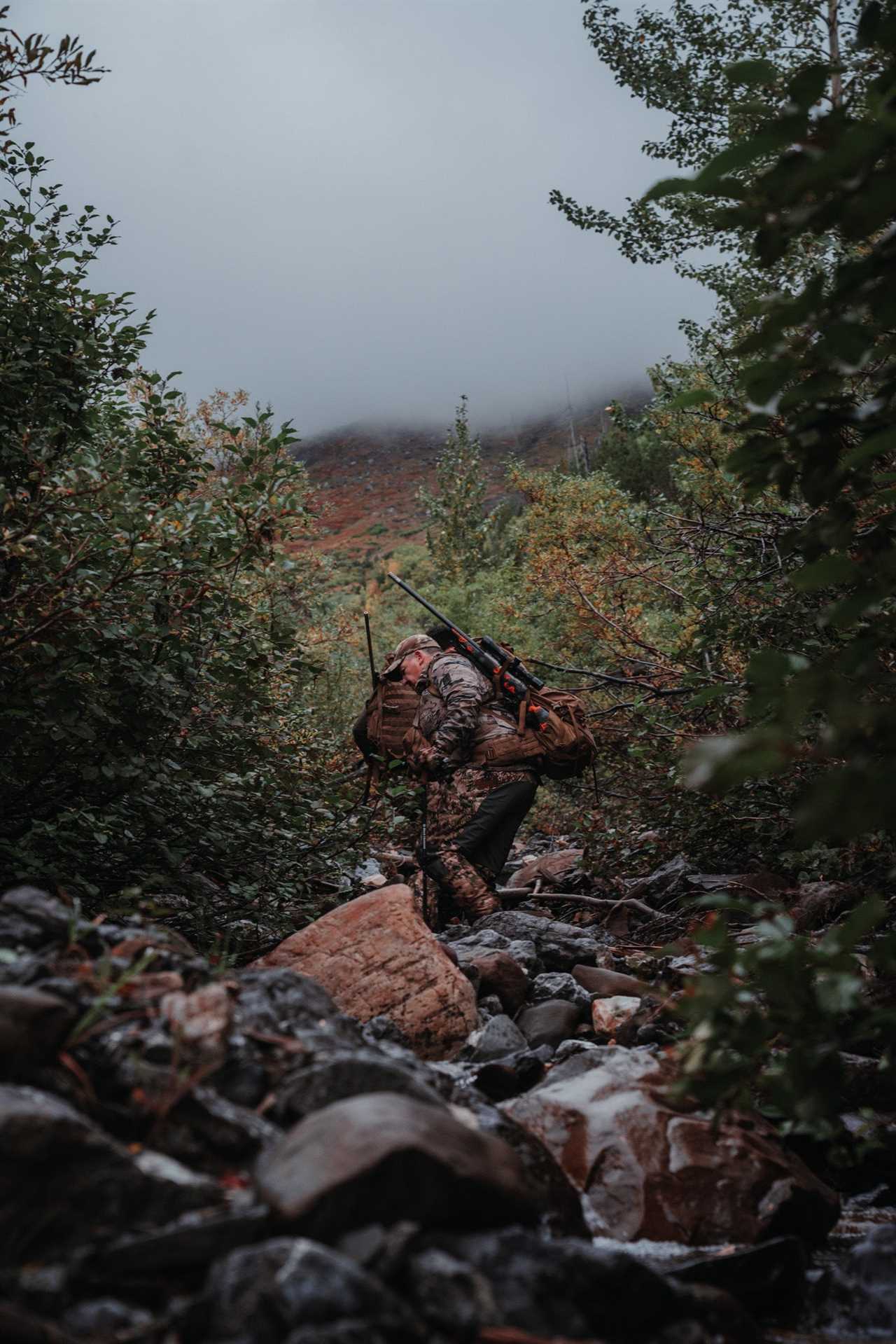 The Final Climb: A Steep Lesson in Elk Hunting