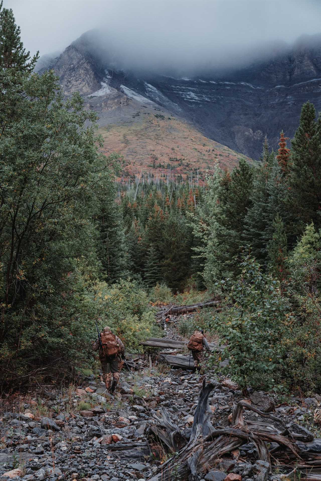 The Final Climb: A Steep Lesson in Elk Hunting