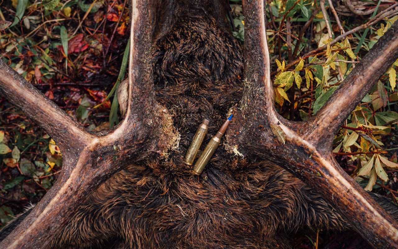 The Final Climb: A Steep Lesson in Elk Hunting