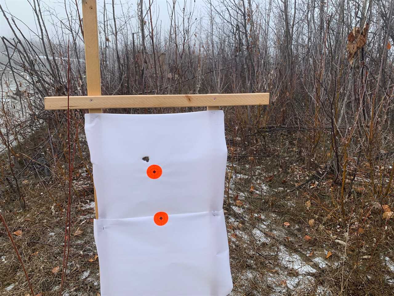 brush testing rifle target