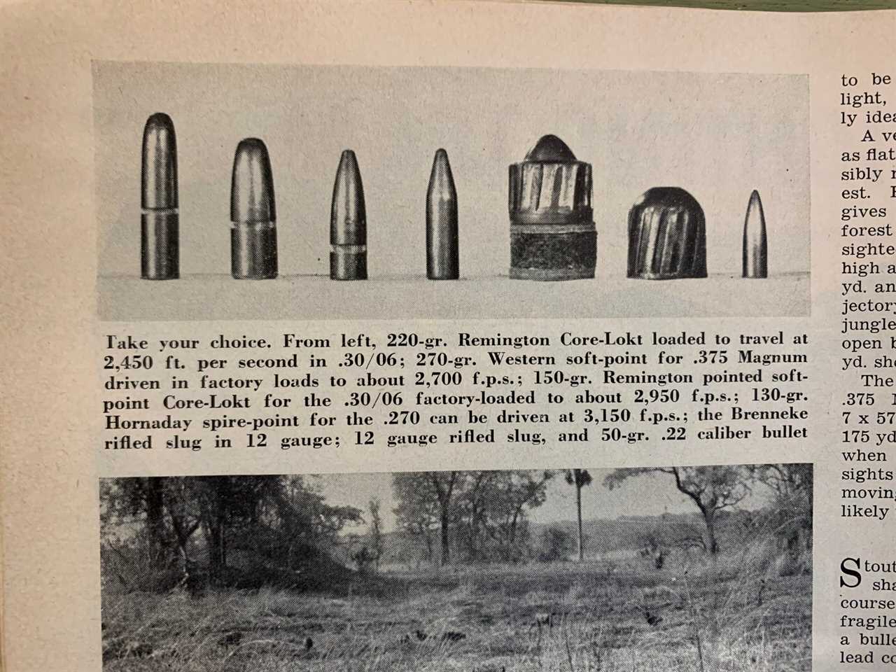 O'Connor's brush rifle projectiles